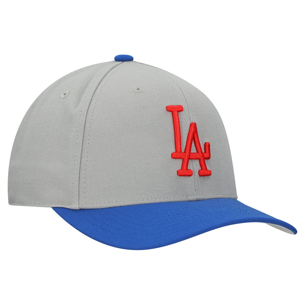  Los Angeles Dodgers Mitchell & Ness Unisex Basic Coop Pro Adjustable Hat - Gray